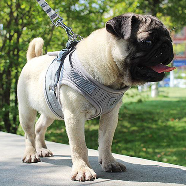 Adjustable Mesh Vest Dog Harness Collar