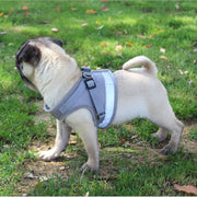 Adjustable Mesh Vest Dog Harness Collar