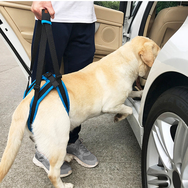 Pet Dog Sling Lift Harness