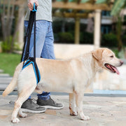 Pet Dog Sling Lift Harness