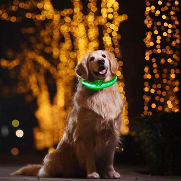 Pet LED Light Up Collar