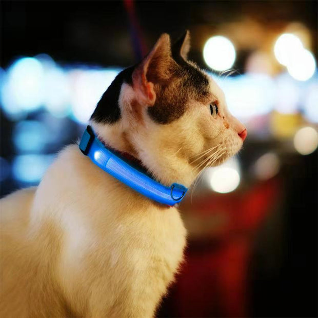 Pet LED Light Up Collar