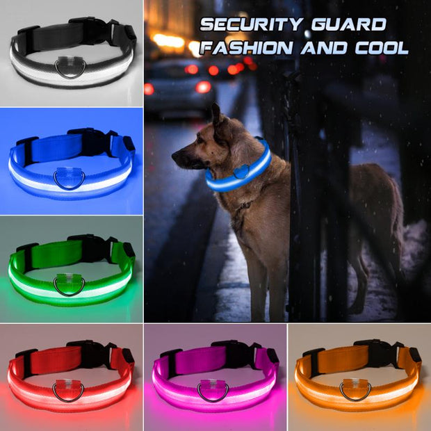 Pet LED Light Up Collar