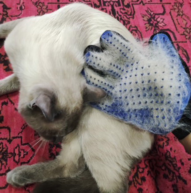 Pet Dog Cleaning Massage Glove