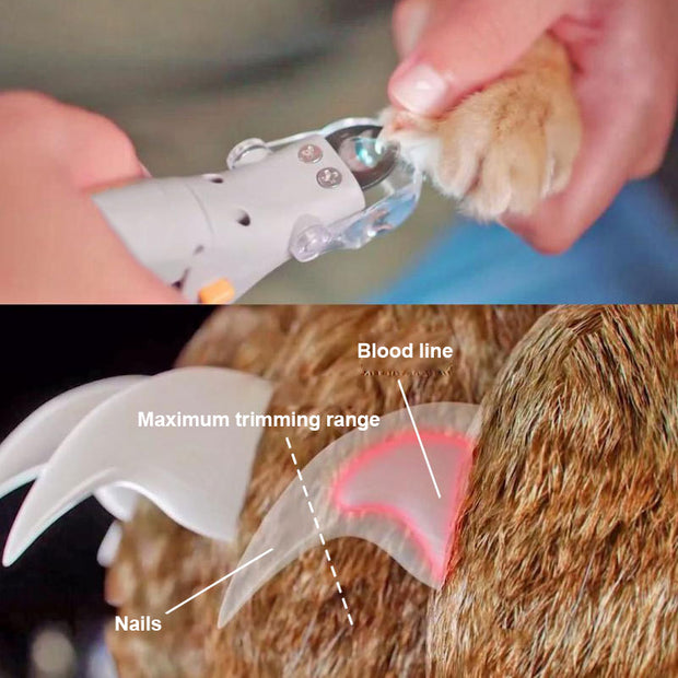 Professional Pet Nail Clipper